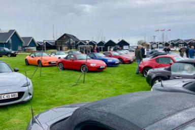 IMG_7094.jpeg IMG_7094.jpeg